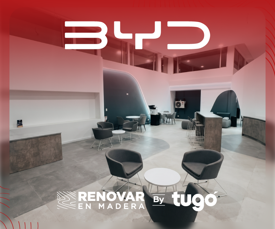banner principal byd 2